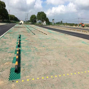 Gazon HDPE recyclé Protection de la chaussée 38cm 50cm 78cm Grille d'herbe de parking Vietnam Cellule de <span class=keywords><strong>fleur</strong></span> en plastique Produits de terrassement - Product Image 5
