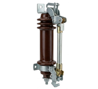 Disjoncteur de protection extérieur haute tension en porcelaine pour transformateur