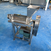 Industriële spiraalvormige verpulverings- en sapmachine voor appels, ontpit- en pulpmachine voor rode bayberries en mango's
