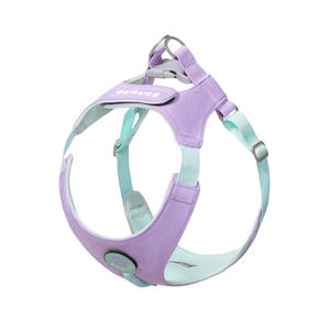 <span class=keywords><strong>Harness</strong></span> Anjing Baru <span class=keywords><strong>2026</strong></span> untuk Anjing Kecil dan Sedang, Bahan Nylon Polyester, Warna-Warni, Ringan, Dapat Disesuaikan, Anti Tarik - Product Image 1