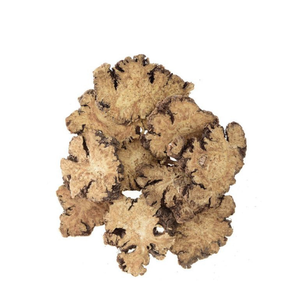 Radice di Ligusticum Chuanxiong Essiccata e Affettata, Erba Rizoma di Ligusticum Wallichii, Radice di <span class=keywords><strong>Lovage</strong></span> del Sichuan in Vendita - Product Image 1