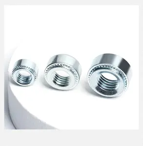 S*m2-m12 Galvanised Sheet Metal Screws Zinc Plated Finish Flakes Pressure Plate Parts Rivet Nut For Automotive Industry