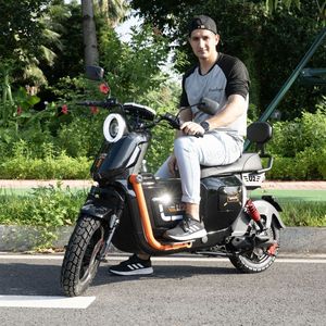 DISIYUAN ville motos vélo 1500W moteur Sport électrique Dirt Bike pour adultes batterie au Lithium électronique 48v 60v - Product Image 2