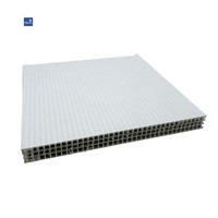 Système de coffrage en plastique creux PP pour le coulage modulaire de béton