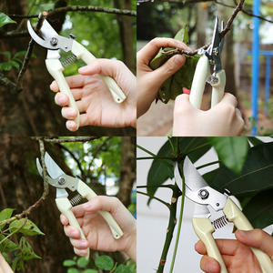 Tijeras de podar de acero inoxidable con mango de plástico, herramienta manual de jardín para recortar plantas - Product Image 2