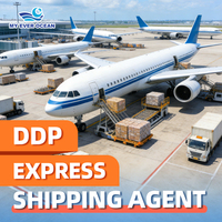 Luftfracht-Handling Internationale Logistik Tracking FCL LCL DDP Speditionsagent