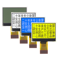 Módulo de Pantalla LCD COG de 1.9 Pulgadas, Resolución 128x64, Serial SPI, 500cd, HUIJINGLCM -20-+70C, Precio de Fabricante CN
