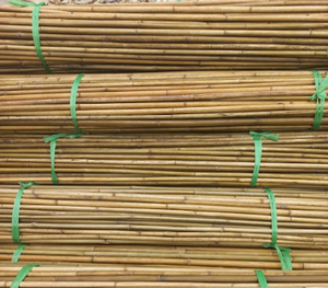 Piquets de jardin en bambou naturel écologique bon marché en gros Piquet de bambou pour le jardinage et la construction avec des matières premières - Product Image 6