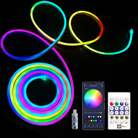 Bande LED néon RGBIC intelligente 5V alimentée par USB, résistance industrielle, IP65, PVC flexible, résistante aux UV, 5m, dimmable, pour signalétique