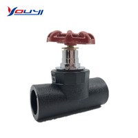 Katup Globe PPR PE YOUYI Langsung dari Pabrik Berkualitas Tinggi DN15-DN100 Air Suhu Normal Manual