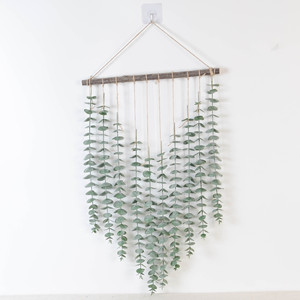 Plantas colgantes <span class=keywords><strong>de</strong></span> <span class=keywords><strong>eucalipto</strong></span> con palo <span class=keywords><strong>de</strong></span> madera, plantas verdes <span class=keywords><strong>de</strong></span> decoración del hogar y pared - Product Image 4