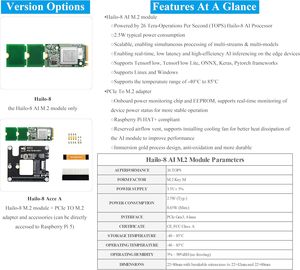 Hailo-8 M.2 ai מאיץ מודול פטל פאי <span class=keywords><strong>5</strong></span> pcie gen3 לוח פיתוח 26 צמרות pvc חומר מחשב נייד/שולחן עבודה - Product Image 4