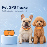 Localizador GPS para Mascotas, Totalmente Automático, para Perros y Gatos, Resistente al Agua IP67, Sistema de Rastreo Antipérdida, Compatible con PC, iOS y Android, OEM ODM