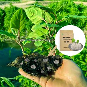 Hydrogel sap siêu thấm kali Polyacrylate hạt siêu thấm nước Polymer giữ lại đại lý cho các nhà máy - Product Image 3
