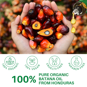 Aceite de Batana Puro para el Crecimiento del Cabello, Aceite de Batana Orgánico de Honduras, Promueve el Cabello <span class=keywords><strong>Grueso</strong></span> para Hombres y Mujeres, 118 ml - Product Image 4