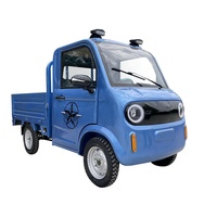 Camionnette électrique, nouvelle voiture de livraison électrique, mini véhicule utilitaire à basse vitesse à 4 roues pour adultes