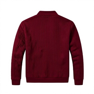 Chaqueta Bomber Acolchada para Hombre, Cuello Alto, Transpirable, 100% Poliéster, Manga Regular, Forro Polar, Relleno de Poliéster, Estilo Universitario - Product Image 4