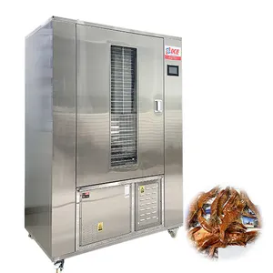 WRH-100GN cabinet shrimp smoke fish dryer small cassava konjac drying machine price