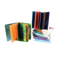 Manga Jujutsu Kai coloriage Costumizer manuels médicaux Jolly Phonics 1-7 livres miniatures bibliothèque livre sonore pour enfants