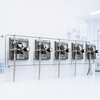 Système de distribution de gaz à double chambre automatique et étanche pour l'alimentation en gaz spécial dangereux pour l'industrie des semi-conducteurs