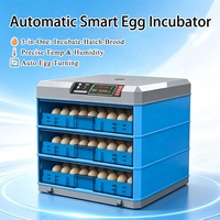 Incubateur d'œufs automatique à double alimentation avec lampe LED pour l'examen des œufs, retournement automatique, contrôle de l'humidité et de la température pour poulets, canards et cailles