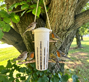 Manufacturer Biodegradable Custom Natural <strong>Mixed</strong> <strong>Seed</strong> and Peanut <strong>Bird</strong> Feeder for <strong>Wild</strong> <strong>Birds</strong> <strong>Bird</strong> Feeders for Outdoors - Product Image 1