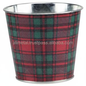 Pot de fleurs en métal enduit de poudre pour la décoration intérieure et extérieure pour le jardinage d'hiver, d'automne et d'automne - Product Image 1