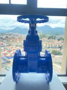 4-inch khí nén gang mặt bích Van cổng nước Hướng dẫn sử dụng van cổng cho hệ thống nước Loại sản phẩm - Product Image 6