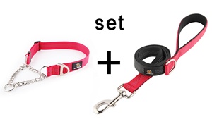 <span class=keywords><strong>Collar</strong></span> de Perro Martingale de Doble Estructura Resistente, <span class=keywords><strong>Collar</strong></span> de Nailon a Prueba de <span class=keywords><strong>Escape</strong></span> con Cadena - Product Image 4