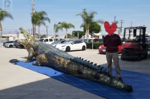 Crocodile gonflable géant lumineux LED réaliste sur mesure, mascotte animale pour la promotion des zoos et des événements sur la faune sauvage - Product Image 2