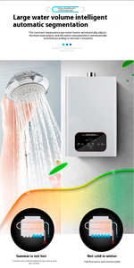 Cổ Phiếu Sẵn Sàng Khí Đốt Tự Nhiên Propane Máy Nước Nóng Tankless Ngay Lập Tức Nồi Hơi 12L 13L 16L LPG Nhà Ngay Lập Tức Nóng Máy Nước Nóng Nồi Hơi - Product Image 5