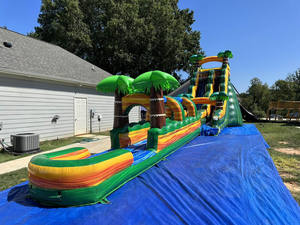 商業用30フィート18フィート高さ20フィートブローアップウォータースライドピンクジャンプ城ヤシの木インフレータブルウォーターパークスライド販売 - Product Image 6