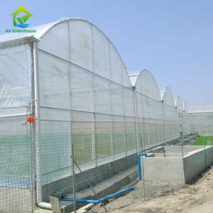 Moderna agricoltura agricola Multi-span pellicola di plastica automatizzata mirtillo Smart serra per la semina di pomodoro - Product Image 3