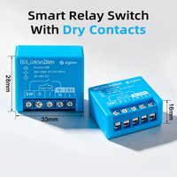 Interrupteur relais intelligent Bilihondim, commande numérique 200W avec contacts secs, compatible Zigbee, Google Home, Alexa, 1 canal, portée 30m