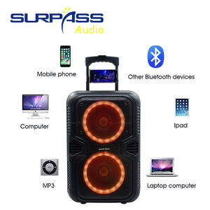 TS2802 doppia batteria da 8 pollici altoparlante senza fili palmare microfono esterno Karaoke altoparlante carrello con aste - Product Image 2