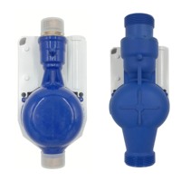 Compteur d'eau intelligent STS Prepayment R100/R160 sans fil LORA/RF/NB-IoT IP68 en laiton/plastique personnalisable avec logiciel de distribution OEM DCU AMI