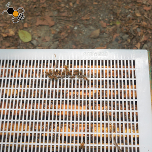 Outils d'apiculture 51X41cm Langstroth 10 Cadre En Plastique <span class=keywords><strong>Abeille</strong></span> <span class=keywords><strong>Reine</strong></span> Excluder à <span class=keywords><strong>Vendre</strong></span> - Product Image 4