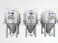 Fermenteur conique Cassman 500L, cuves de fermentation de bière avec enveloppe de refroidissement CCT, SUS304 avec couche d'isolation