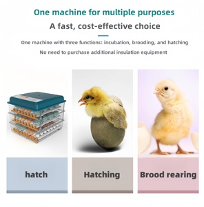 Incubateur d'oeufs de bonne qualité 120 capacité incubateur entièrement automatique <span class=keywords><strong>à</strong></span> <span class=keywords><strong>vendre</strong></span> - Product Image 5