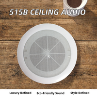 OEM/KACAUDIO 515B-2 Altavoces de Techo Profesionales de 5 Pulgadas y 5W para Sistema de Sonido Ambiental, Line Array Pasivo de Dos Vías, para Cine en Casa