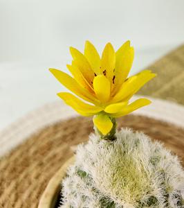 Plantas <span class=keywords><strong>Suculentas</strong></span> de <span class=keywords><strong>Cactus</strong></span> Artificiales, <span class=keywords><strong>Cactus</strong></span> Artificial con Flores, Mini Plantas Artificiales de Lujo para Interiores con Maceta de Cemento - Product Image 3