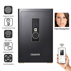 CEQSAFE Coffre-fort électronique sécurisé avec reconnaissance faciale et empreintes digitales, application TUYA, stockage secret intelligent, coffre-fort intelligent - Product Image 1