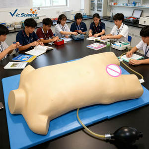 รูปแบบการฝึกอบรมการเจาะเส้นเลือดดำและเส้นเลือดโคนขาในเด็กค้นหาเส้นเลือดดำสำหรับการเจาะเลือด - Product Image 2