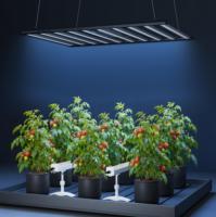 Lampu LED Grow Light Komersial 1000W OEM dengan Fixture Aluminium, Spektrum 3-Channel yang Dapat Disesuaikan, Suplemen UV IR untuk Proyek Rumah Kaca Dalam Ruangan