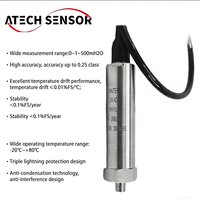 Transmetteur de niveau submersible en alliage de titane, haute précision 0,2% FS/année, capteur de niveau d'eau 4-20mA, niveau de liquide hydrostatique