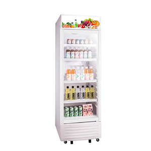 <span class=keywords><strong>Prezzo</strong></span> basso in posizione verticale piccolo <span class=keywords><strong>congelatore</strong></span> verticale congelamento vetrina verticale vetrina frigorifero - Product Image 3