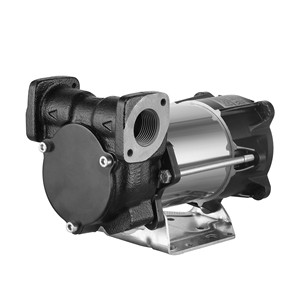 ปั๊มน้ำมันเชื้อเพลิงโบโจว ดราก้อน รุ่น DYB-EX30 12V 24V 80W เหล็กหล่อ 30 ลิตร/นาที สำหรับการผลิต - Product Image 1