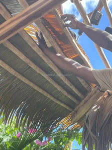 Hoja de Palma de <span class=keywords><strong>Coco</strong></span> Artificial Sintética para Tejas - Product Image 6