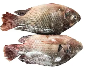 中国冷凍全ラウンドティラピアポアソンコンゲレ冷凍黒ティラピア魚冷凍ティラピア魚