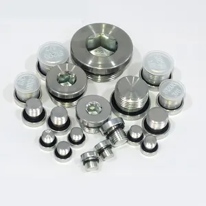 Pipe Fittings and port adapters Hexagon socket metal thread plug hydraulic pump valve sealing oil plug screw